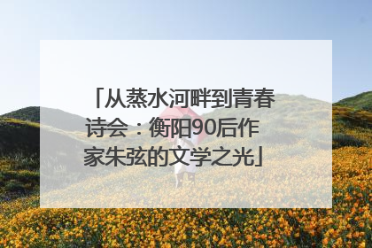 从蒸水河畔到青春诗会：衡阳90后作家朱弦的文学之光