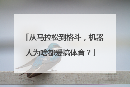 从马拉松到格斗，机器人为啥都爱搞体育？