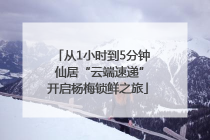 从1小时到5分钟 仙居“云端速递”开启杨梅锁鲜之旅