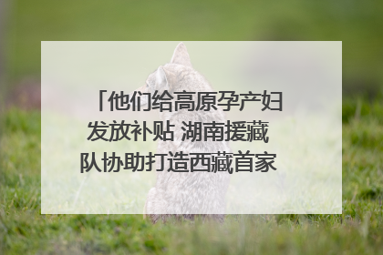 他们给高原孕产妇发放补贴 湖南援藏队协助打造西藏首家高原产儿协同中心