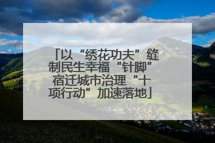 以“绣花功夫”缝制民生幸福“针脚” 宿迁城市治理“十项行动”加速落地
