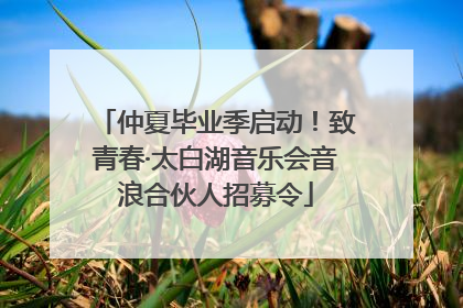 仲夏毕业季启动！致青春·太白湖音乐会音浪合伙人招募令