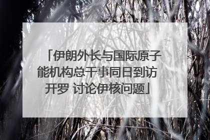 伊朗外长与国际原子能机构总干事同日到访开罗 讨论伊核问题