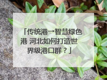 传统港→智慧绿色港 河北如何打造世界级港口群？