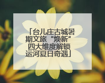台儿庄古城暑期文旅“焕新” 四大维度解锁运河夏日奇遇