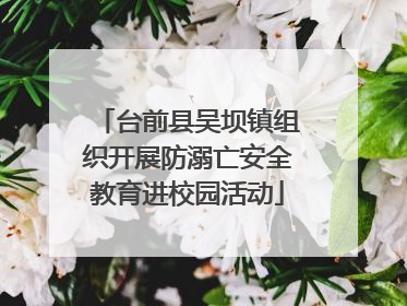 台前县吴坝镇组织开展防溺亡安全教育进校园活动