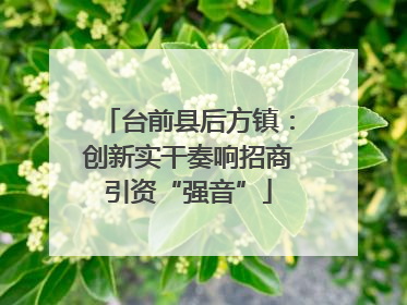 台前县后方镇：创新实干奏响招商引资“强音”