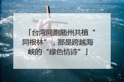 台湾同胞随州共植“同根林”，那是跨越海峡的“绿色情诗”