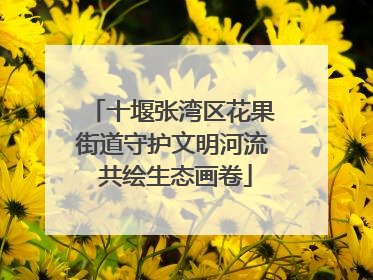 十堰张湾区花果街道守护文明河流 共绘生态画卷