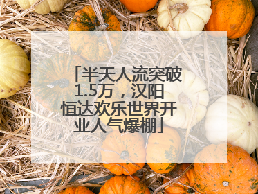 半天人流突破1.5万，汉阳恒达欢乐世界开业人气爆棚