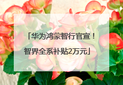 华为鸿蒙智行官宣！智界全系补贴2万元