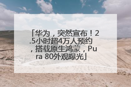 华为，突然宣布！2.5小时超4万人预约，搭载原生鸿蒙，Pura 80外观曝光