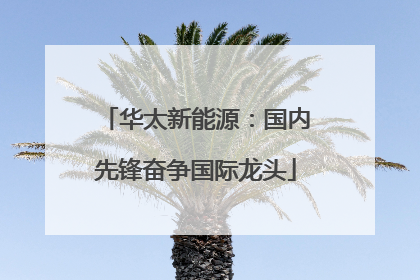 华太新能源：国内先锋奋争国际龙头