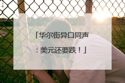 华尔街异口同声：美元还要跌！