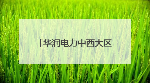 华润电力中西大区洛阳公司纪委开展“家庭助廉”活动 筑牢廉洁防线