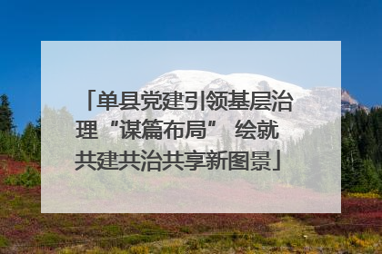 单县党建引领基层治理“谋篇布局” 绘就共建共治共享新图景