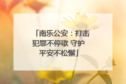 南乐公安：打击犯罪不停歇 守护平安不松懈