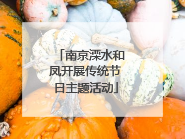 南京溧水和凤开展传统节日主题活动