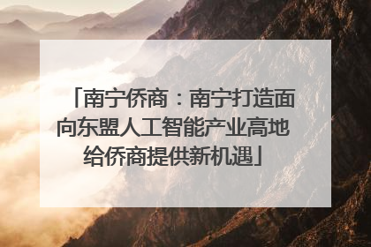 南宁侨商：南宁打造面向东盟人工智能产业高地给侨商提供新机遇