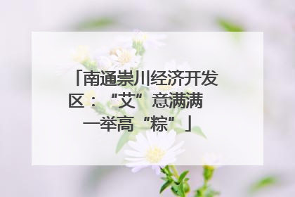 南通崇川经济开发区：“艾”意满满 一举高“粽”