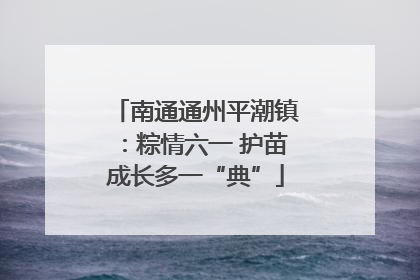 南通通州平潮镇：粽情六一 护苗成长多一“典”
