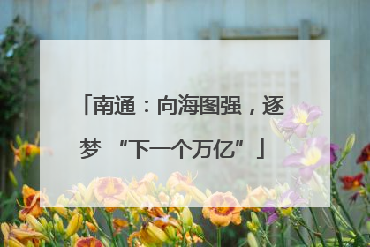 南通：向海图强，逐梦 “下一个万亿”