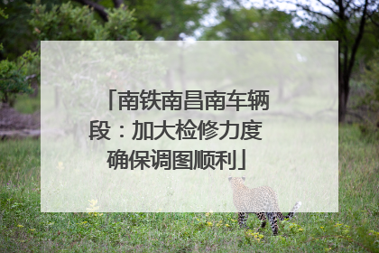 南铁南昌南车辆段：加大检修力度确保调图顺利