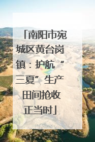 南阳市宛城区黄台岗镇：护航“三夏”生产 田间抢收正当时