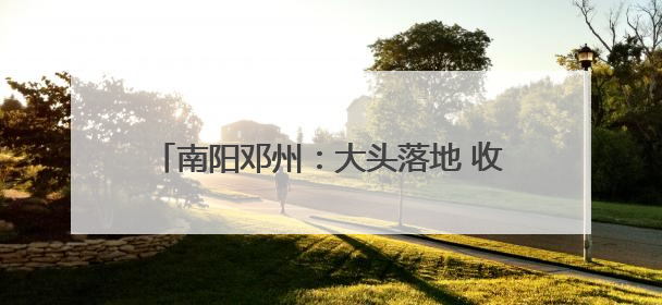 南阳邓州：大头落地 收储归仓丨战三夏保丰收