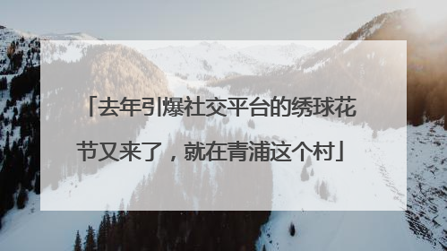 去年引爆社交平台的绣球花节又来了，就在青浦这个村