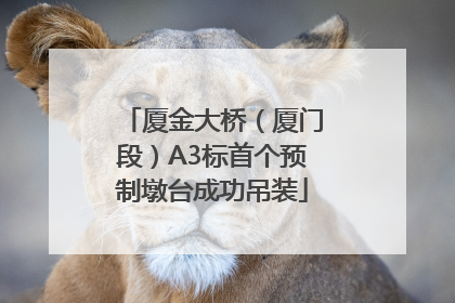 厦金大桥（厦门段）A3标首个预制墩台成功吊装