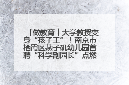 做教育︱大学教授变身“孩子王”！南京市栖霞区燕子矶幼儿园首聘“科学副园长”点燃萌娃科学梦