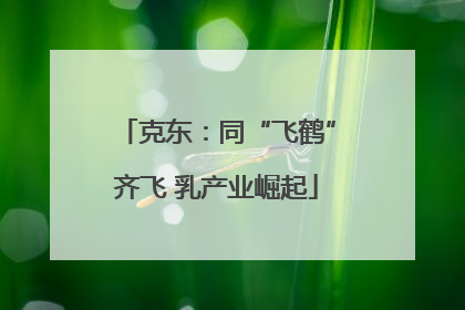 克东：同“飞鹤”齐飞 乳产业崛起