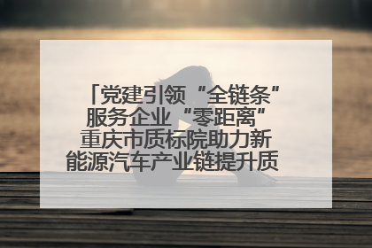 党建引领“全链条” 服务企业“零距离” 重庆市质标院助力新能源汽车产业链提升质量管理水平