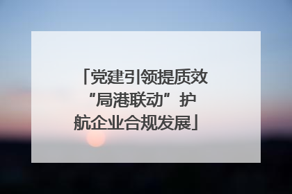 党建引领提质效 “局港联动”护航企业合规发展