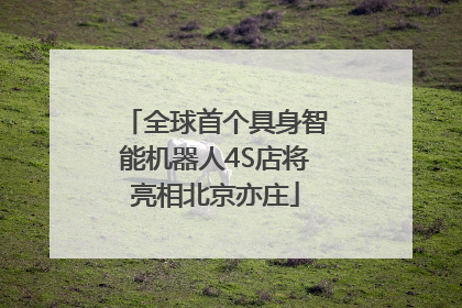 全球首个具身智能机器人4S店将亮相北京亦庄