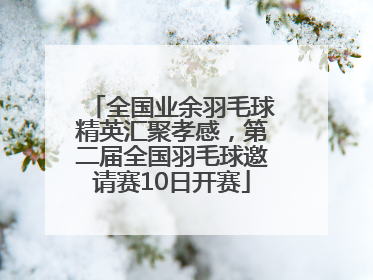 全国业余羽毛球精英汇聚孝感，第二届全国羽毛球邀请赛10日开赛