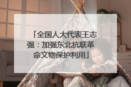 全国人大代表王志强：加强东北抗联革命文物保护利用