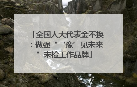 全国人大代表金不换：做强“‘豫’见未来”未检工作品牌