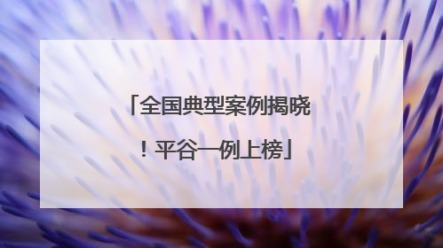 全国典型案例揭晓！平谷一例上榜