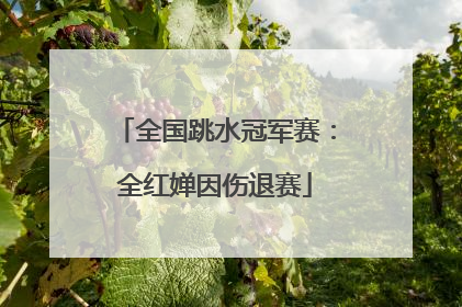 全国跳水冠军赛：全红婵因伤退赛
