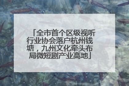 全市首个区级视听行业协会落户杭州钱塘，九州文化牵头布局微短剧产业高地