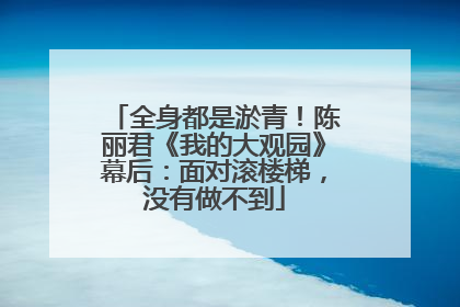 全身都是淤青！陈丽君《我的大观园》幕后：面对滚楼梯，没有做不到