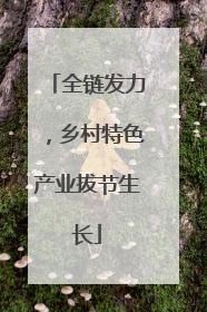 全链发力，乡村特色产业拔节生长