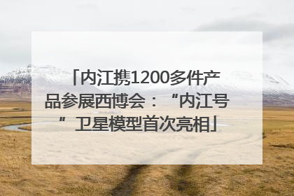 内江携1200多件产品参展西博会：“内江号”卫星模型首次亮相