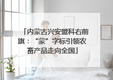 内蒙古兴安盟科右前旗：“蒙”字标引领农畜产品走向全国
