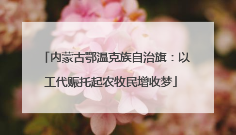 内蒙古鄂温克族自治旗：以工代赈托起农牧民增收梦