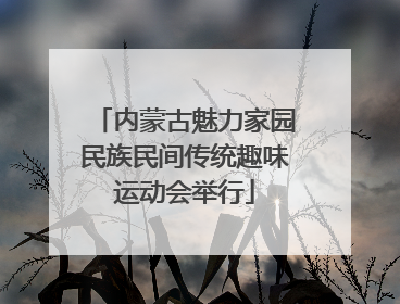 内蒙古魅力家园民族民间传统趣味运动会举行