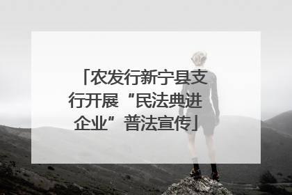 农发行新宁县支行开展“民法典进企业”普法宣传