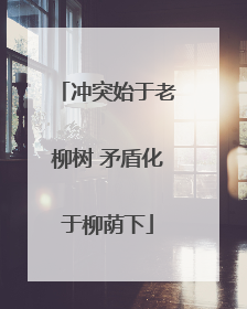 冲突始于老柳树 矛盾化于柳荫下